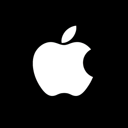 APPLE IPAD